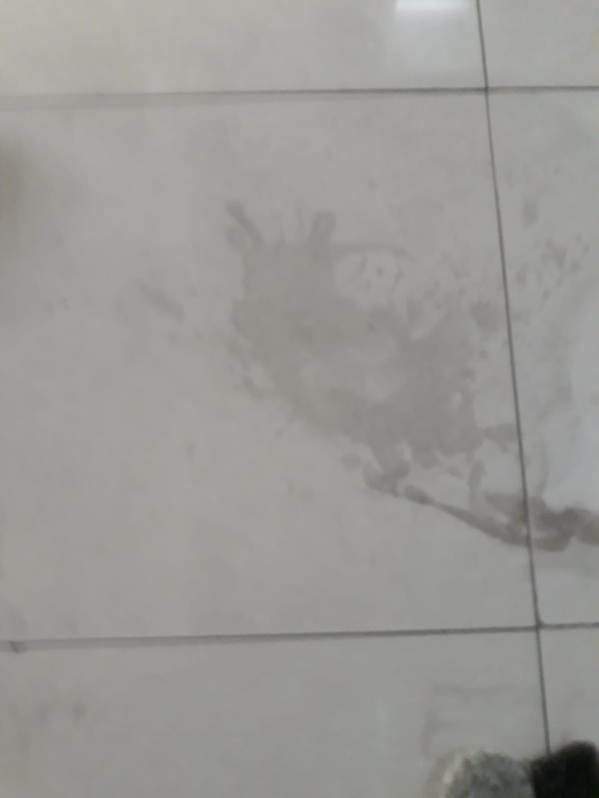 Limpeza e Desincrustação